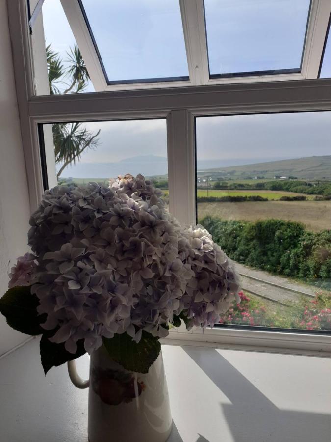 Gleann Loic Farmhouse Dingle Exterior foto