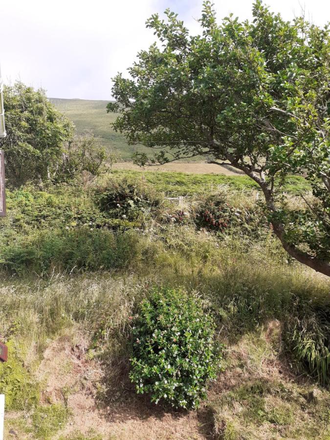 Gleann Loic Farmhouse Dingle Exterior foto