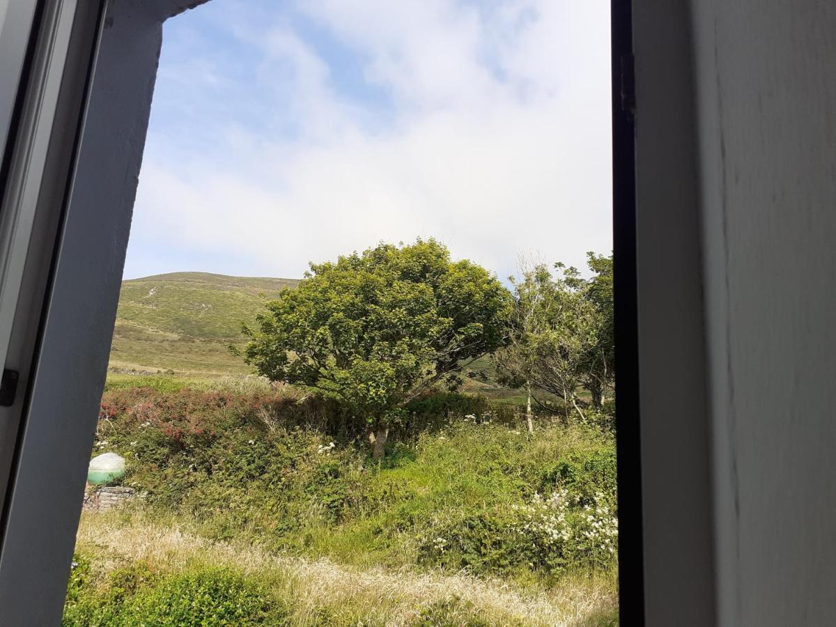 Gleann Loic Farmhouse Dingle Exterior foto