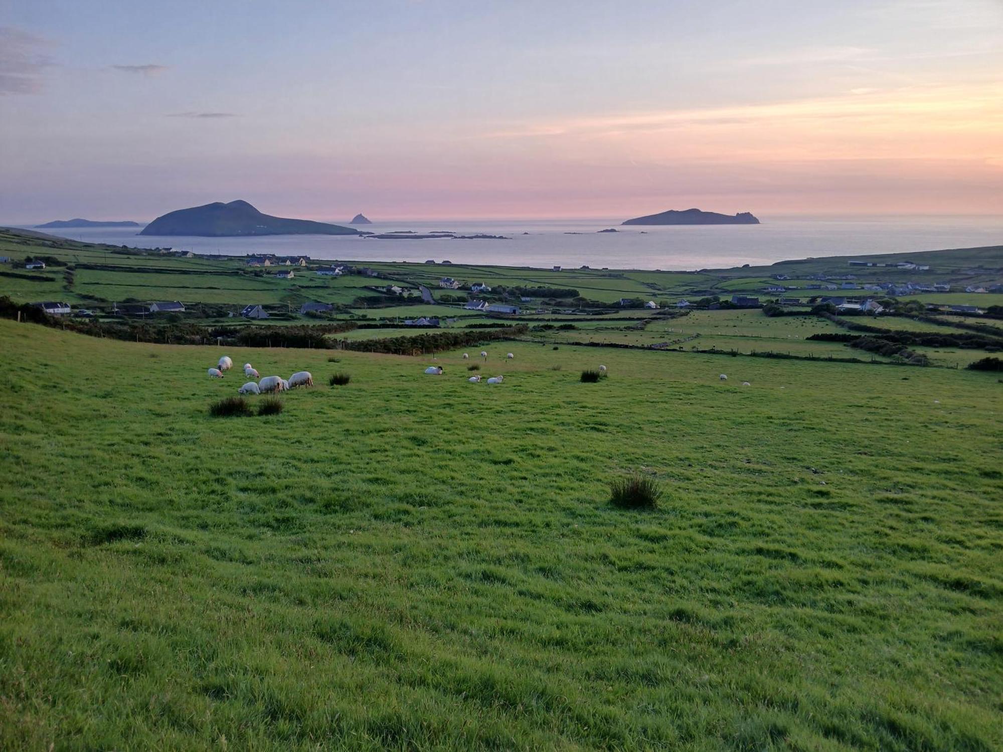 Gleann Loic Farmhouse Dingle Exterior foto